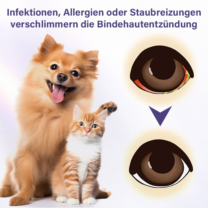 Timilk® NanoCare Augentropfen für Haustiere  👩‍⚕️ FDA-Zulassung | Lindert Bindehautentzündung, trockene Augen, Katarakte und Keratitis 🐶🐱